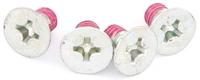 TRW -lucas bout screw 4pcs. m6x1,25