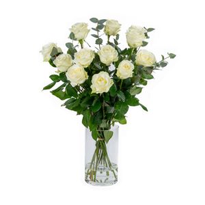 Witte rozen 70cm