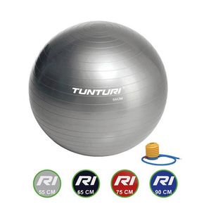 Tunturi Fitnessbal - Gymball - Swiss ball - Ø 55 cm - Inclusief pomp - Zilver Tunturi Fitnessbal - Gymball - Swiss ball - Ø 55 cm - Inclusief pomp - Zilver