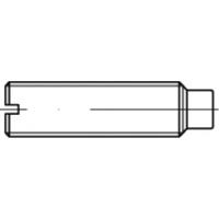 TOOLCRAFT TO-5434983 Draadpen M3 5 mm 100 stuk(s)