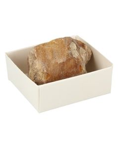 Ruben Robijn Versteend hout doosje (1 st)
