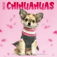 Chihuahua Studio Kalender 2026