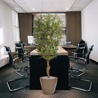 Draceana Reflexa kunstplant 150cm - bont