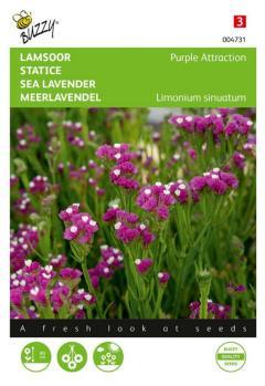 Zaden limonium lamsoor purple attraction 0.2 gram - Buzzy