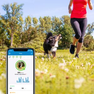 Tractive GPS Tracker incl. Activity Monitoring - Hond - Wit