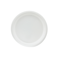 Bord Ø26cm suikerriet BIO