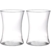 2x stuks brede trompet vaas/vazen helder glas 19 cm