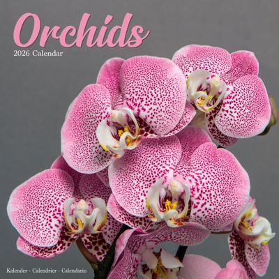 Orchidee Kalender 2026