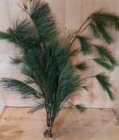 Kerstgroen langwerpige naalden Warentuin Natuurlijk - Warentuin natuurlijk