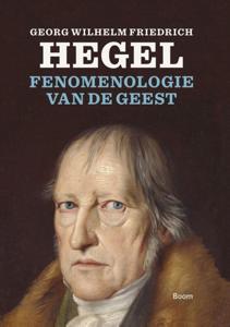 Fenomenologie van de geest (Paperback)