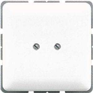 561 B  - Cover plate for Blind plate cream white 561 B