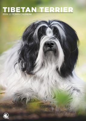Tibetaanse Terrier A3 Kalender 2026