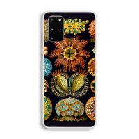 Haeckel Ascidiae: Samsung Galaxy S20 Plus Transparant Hoesje