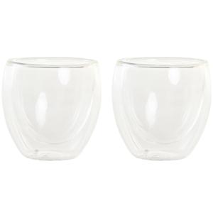 Koffieglazen/theeglazen dubbelwandig - set 2x - espresso glazen - 100 ml