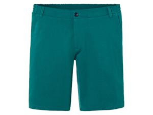 LIVERGY Heren shorts (M (48/50), Groen)