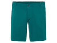 LIVERGY Heren shorts (L (52/54), Groen)