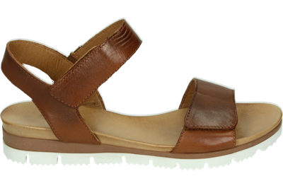 AQA Shoes A8900 - alle