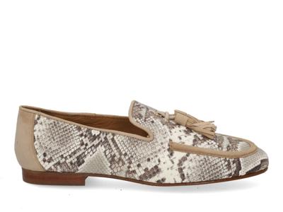 Paul Green 18437 supreme platino Goud maat 41