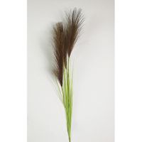 Pampas gras 80cm met blad bruin - Buitengewoon de Boet - thumbnail