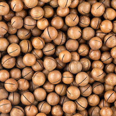 macadamia noten in dop geroosterd gezouten 400 gram