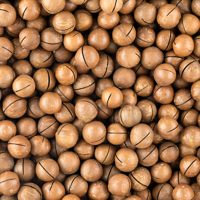macadamia noten in dop geroosterd gezouten 400 gram
