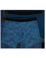 Boxer - Blauw
