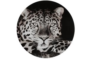 Decostar Countryfield Schilderij Wild life L zwart/wit-L0,4B60H60CM