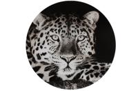 Decostar Countryfield Schilderij Wild life L zwart/wit-L0,4B60H60CM