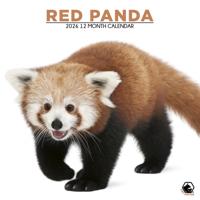 Rode Panda Kalender 2026