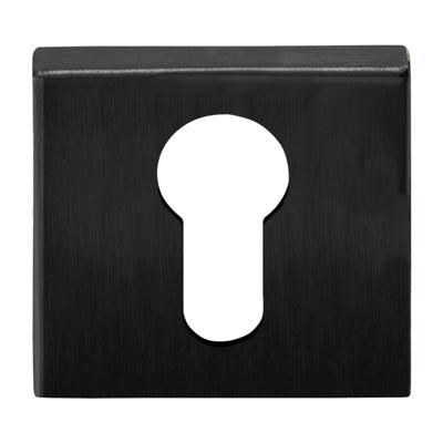 Formani BSQY53 BASICS cilinderplaatje pvd gunmetal