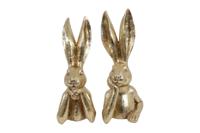 Haas Zen S a2 goud Countryfield - Countryfield