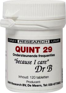 Quint 29