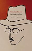 De ontraadselaar (Paperback)