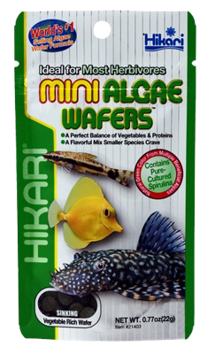 Hikari Mini Algae Wafers - 22 gram