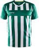 Craft 1910175 Progress 2.0 Stripe Men - Team Green/White - XXL