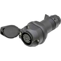 SecoRüt 50220 LED-verlichtingadapter [Stekkerdoos, 13-polig - Stekker, 13-polig]