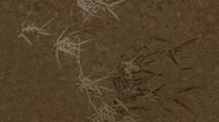Muance Muance Fotobehang Harmony hues - MU15005