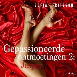 Gepassioneerde ontmoetingen 2: Jesper - erotisch verhaal