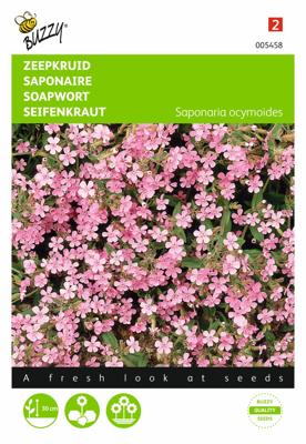 Saponaria ocymoides Zeepkruid Rose - Buzzy