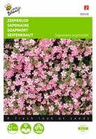 Saponaria ocymoides Zeepkruid Rose - Buzzy