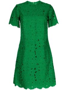 ERDEM robe courte à dentelle fleurie - Vert