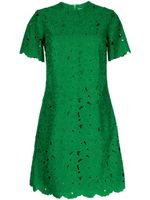 ERDEM robe courte à dentelle fleurie - Vert - thumbnail