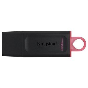 Kingston Technology DataTraveler Exodia USB flash drive 256 GB USB Type-A 3.2 Gen 1 (3.1 Gen 1) Zwart