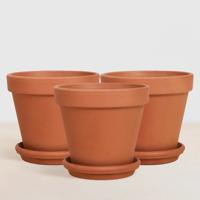 Barcelona - Terracotta potten - P12 (3 stuks)
