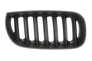 Radiateurgrille 6502070093996P
