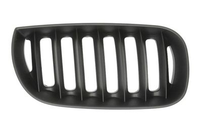 Radiateurgrille 6502070093996P