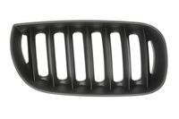 Radiateurgrille 6502070093996P
