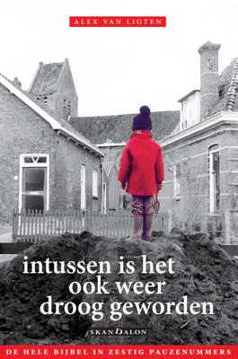 Intussen is het ook weer droog geworden (Paperback)