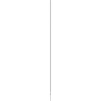 Bosch Accessories 2608707250 Hamerboor 12 mm SDS-Plus 1 stuk(s)
