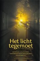 Het licht tegemoet - Janny den Besten, Tonja Versluis, Sytse van der Veen, Lianne Biemond, Maarten Brand, Janco Bunt, Arna van Deelen, Marjan - ebook - thumbnail